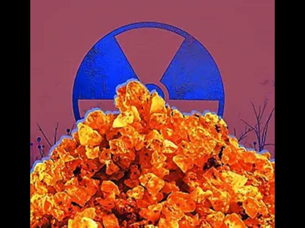 Middle powers find new strategic fuel - The Economic Times