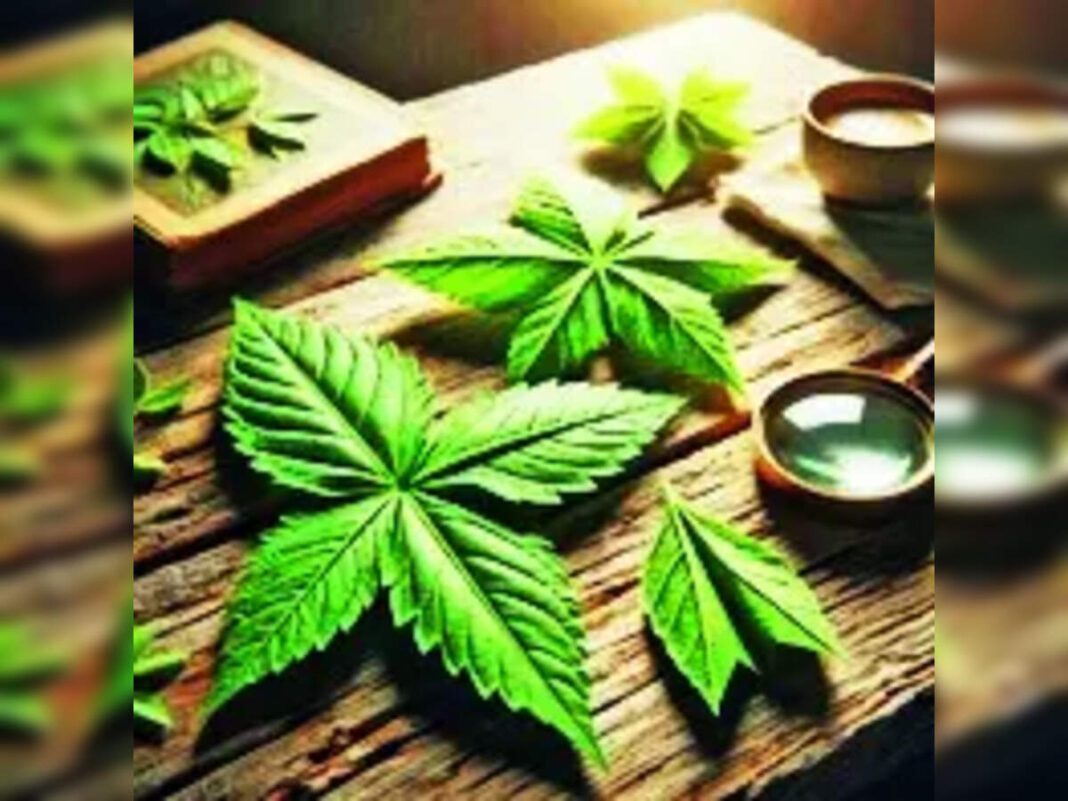 Don't miss the cannabis bus - The Economic Times