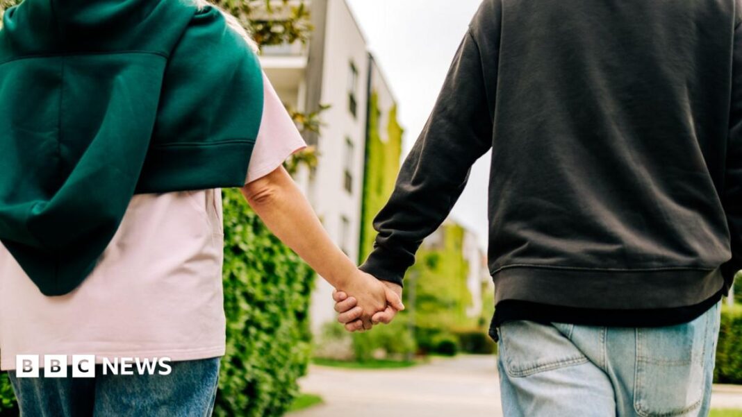 Conversion therapy: NI Assembly debates bill aimed at banning practice