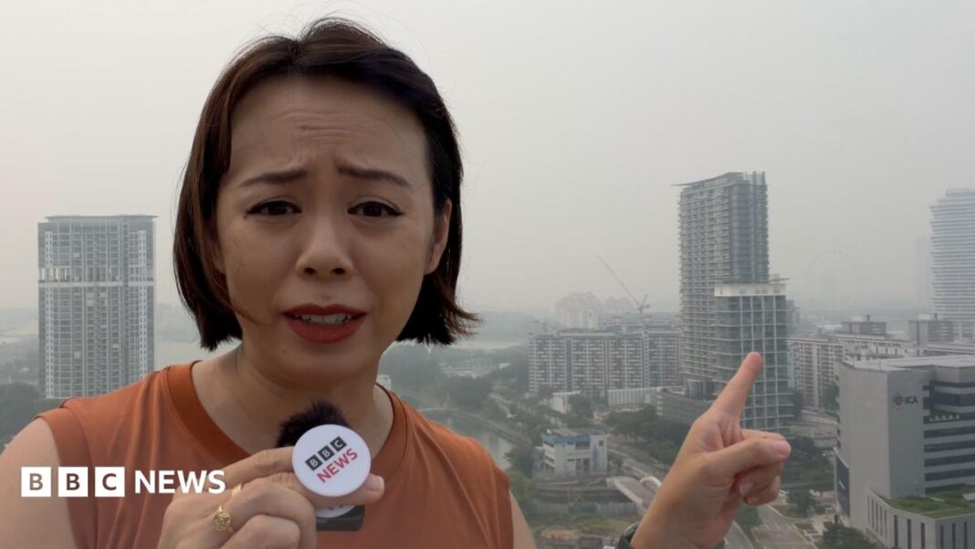 Watch: Indonesia wildfires shroud Singapore's skyline in toxic haze